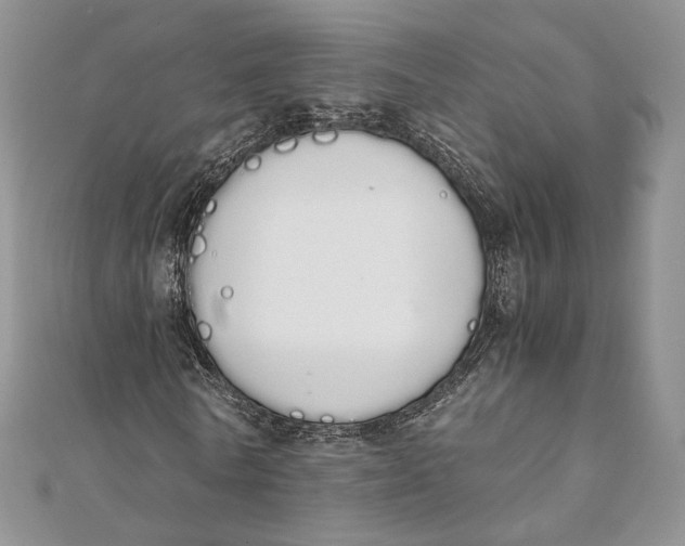 X0000111450770200908031413
