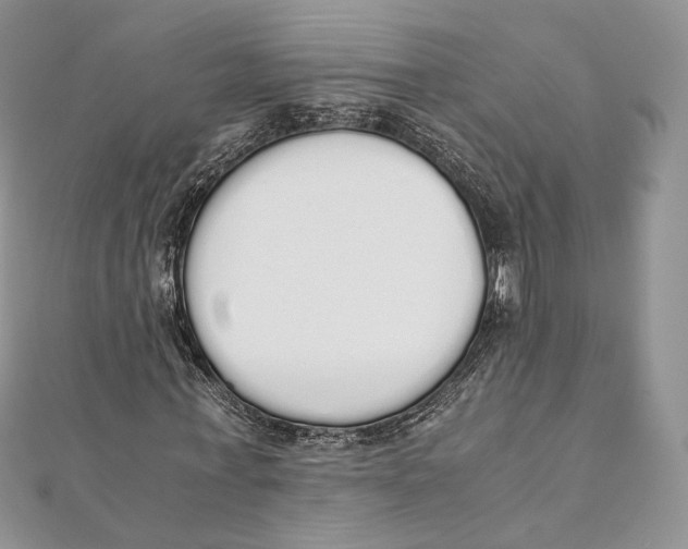 X0000111450771200908031413
