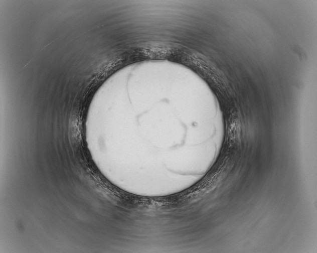 X0000111450772200908031413