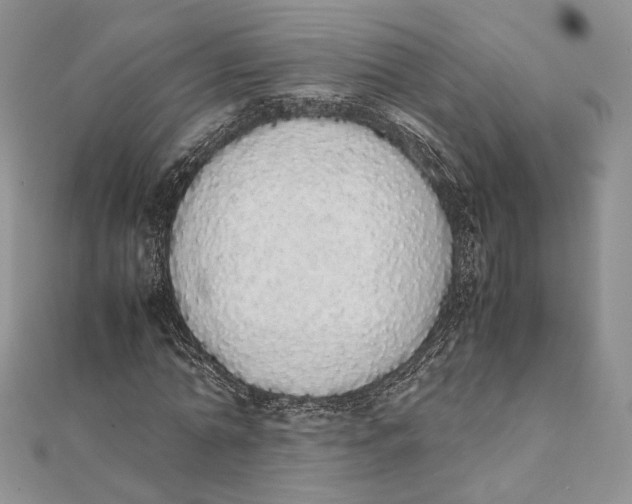 X0000111450774200908031413