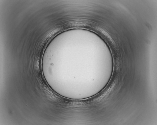 X0000111450777200908031413