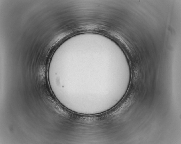 X0000111450778200908031413