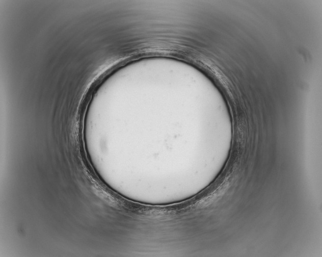 X0000111450779200908031413