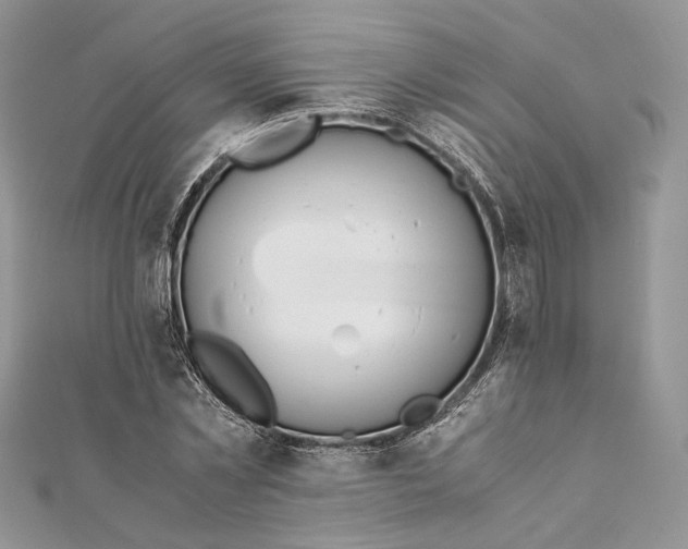 X0000111450781200908031413