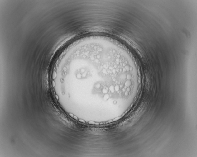 X0000111450782200908031413