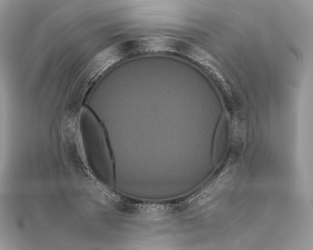 X0000111450785200908031413