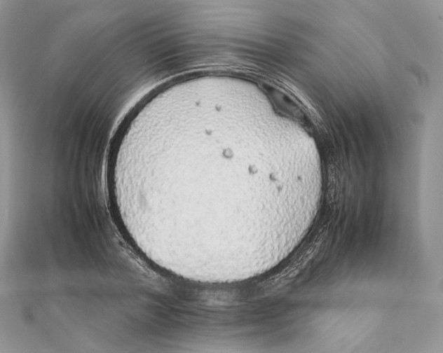 X0000111450788200908031412