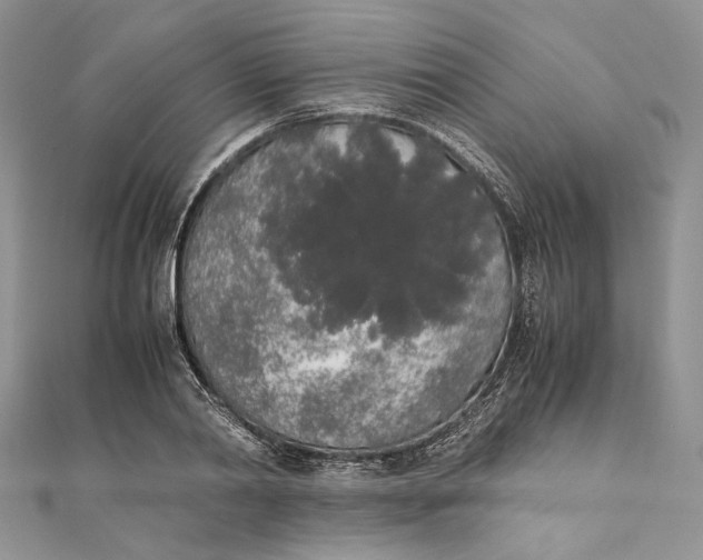 X0000111450790200908031412