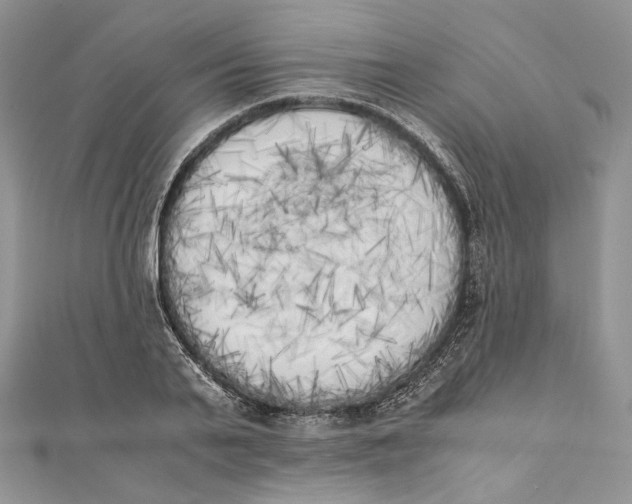 X0000111450791200908031412