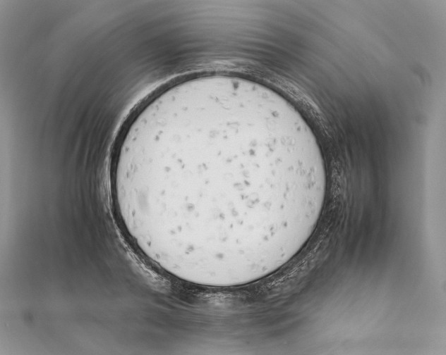 X0000111450792200908031412