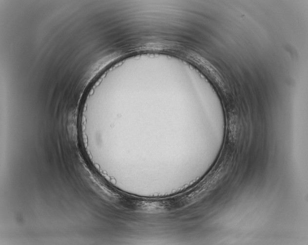 X0000111450794200908031412