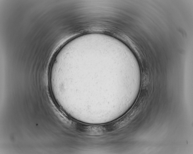 X0000111450795200908031412