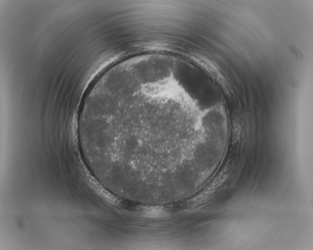 X0000111450798200908031412