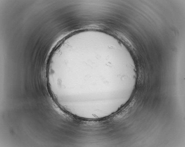 X0000111450800200908031412