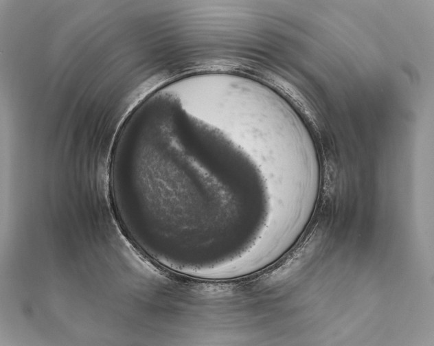 X0000111450802200908031412