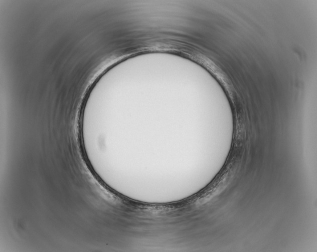 X0000111450803200908031412