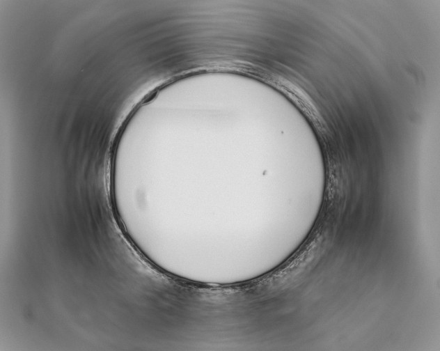 X0000111450804200908031412