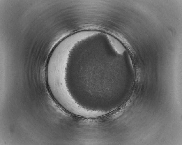 X0000111450806200908031412