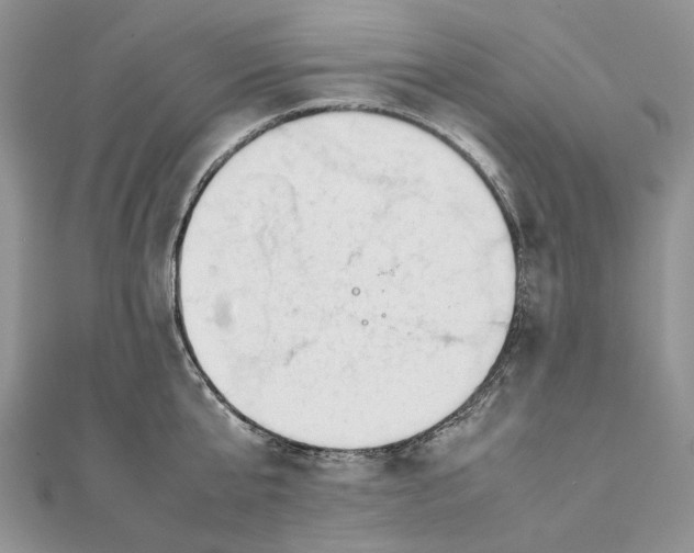 X0000111450807200908031412