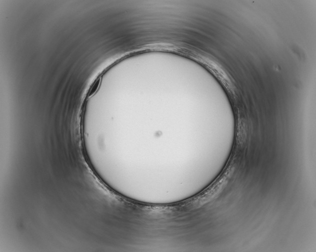 X0000111450808200908031412