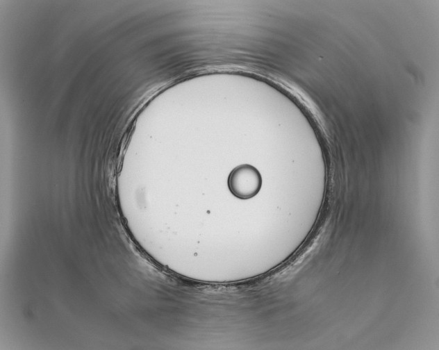 X0000111450809200908031412