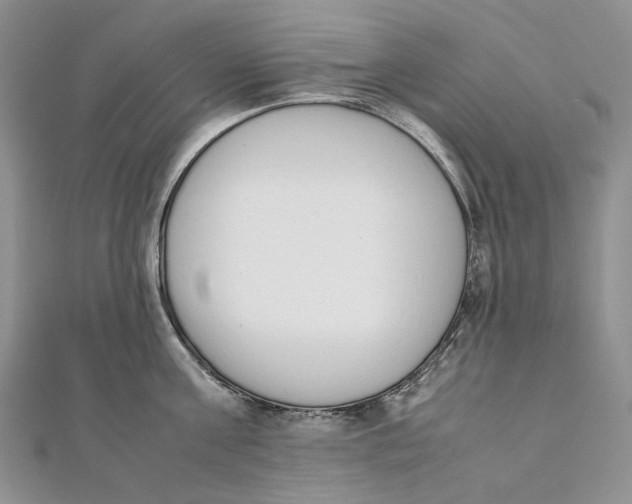 X0000111450811200908031412