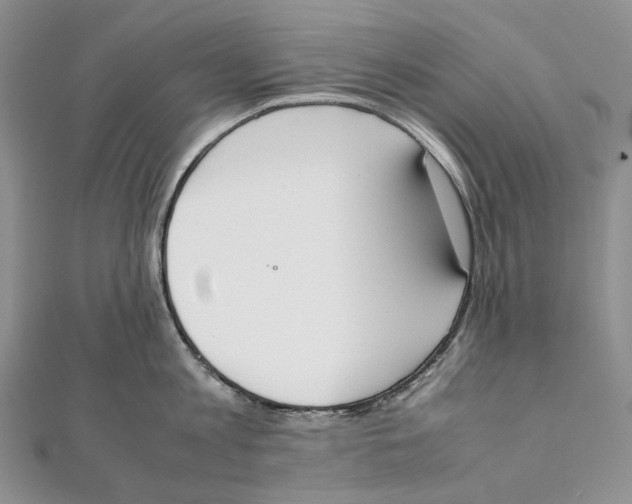 X0000111450813200908031412