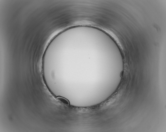 X0000111450815200908031412