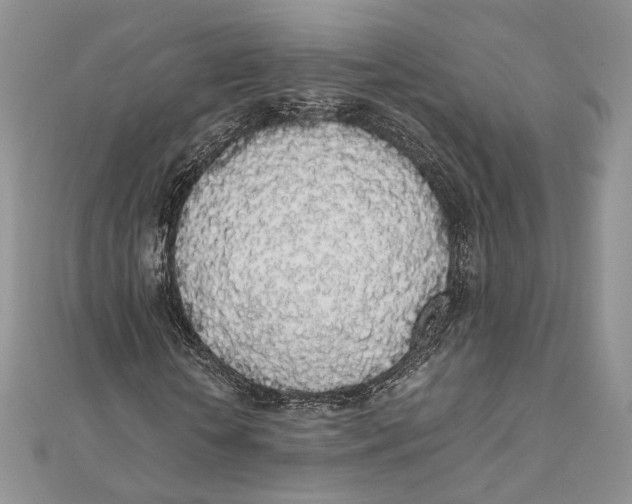X0000111450818200908031411