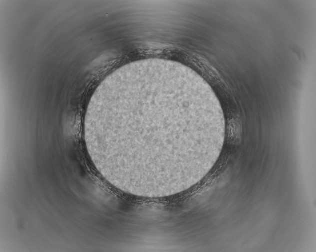 X0000111450820200908031412