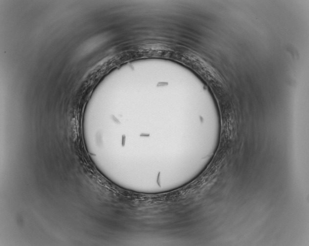 X0000111450821200908031412