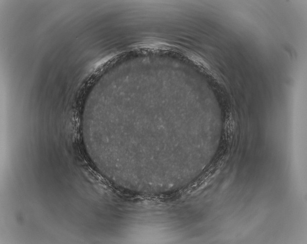 X0000111450822200908031412