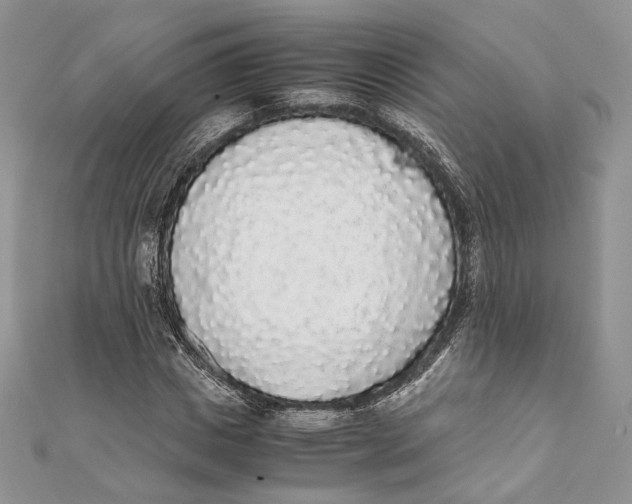 X0000111450825200908031412