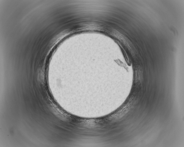 X0000111450828200908031412
