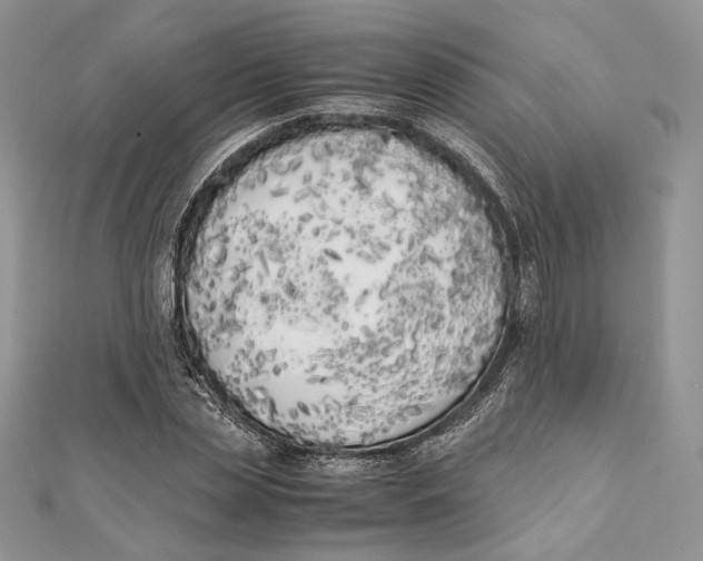 X0000111450829200908031412