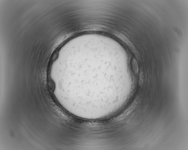 X0000111450834200908031412