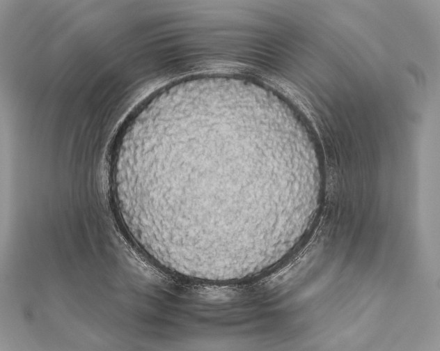 X0000111450835200908031412