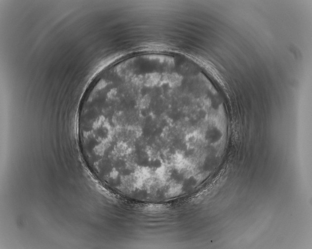 X0000111450839200908031412