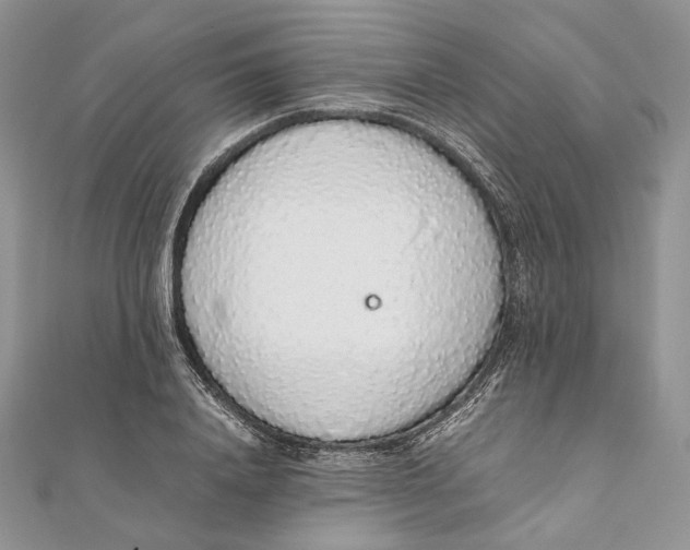 X0000111450840200908031412
