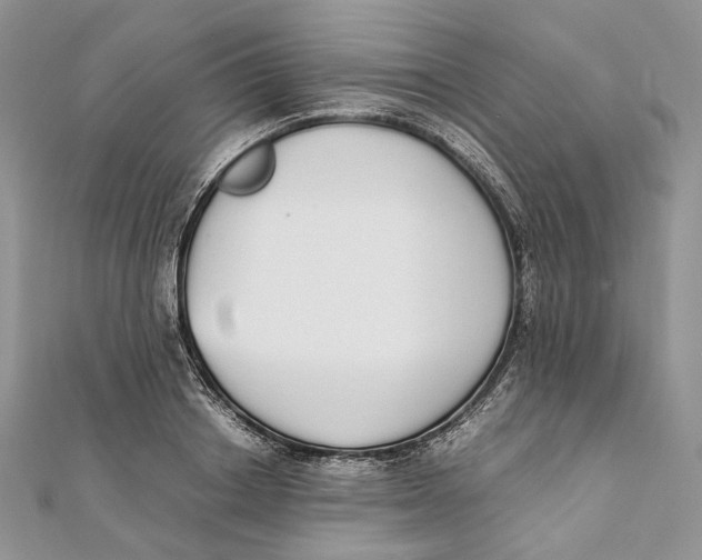 X0000111450842200908031412