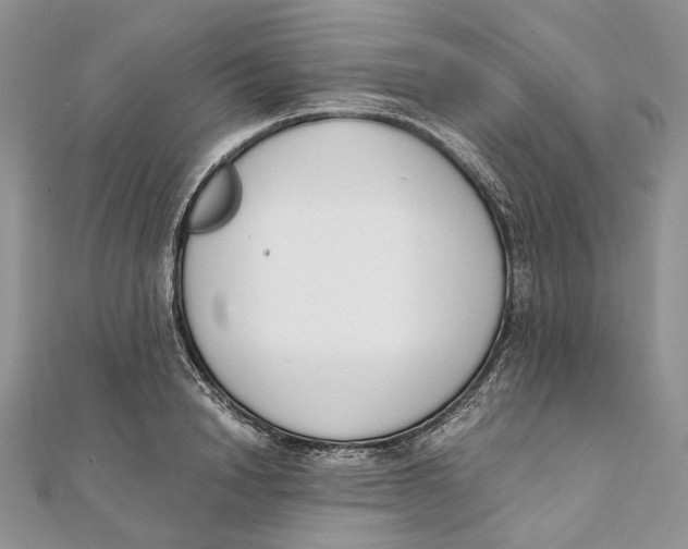 X0000111450846200908031412
