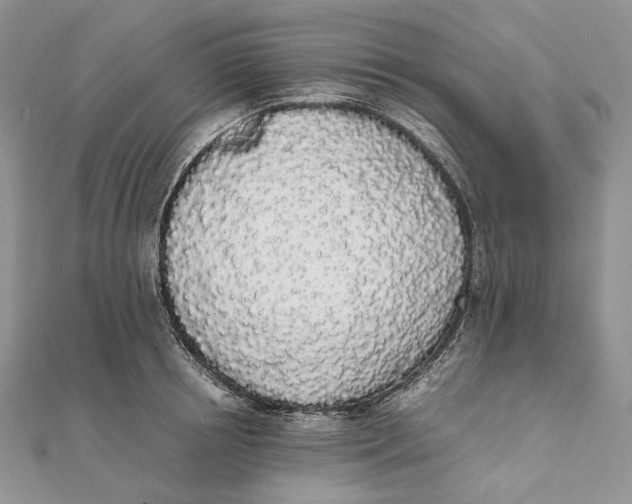 X0000111450850200908031412