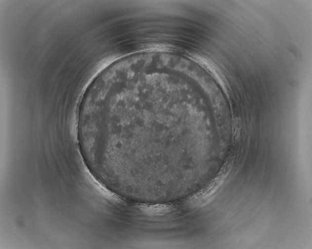 X0000111450851200908031412