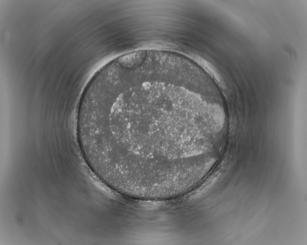 X0000111450854200908031412