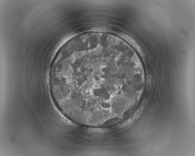 X0000111450855200908031412