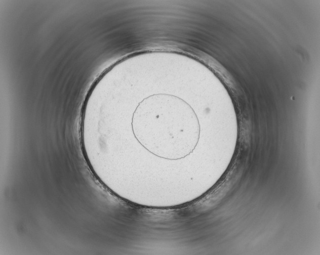 X0000111450856200908031412