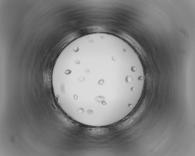 X0000111450857200908031412