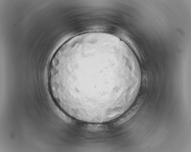 X0000111450859200908031412