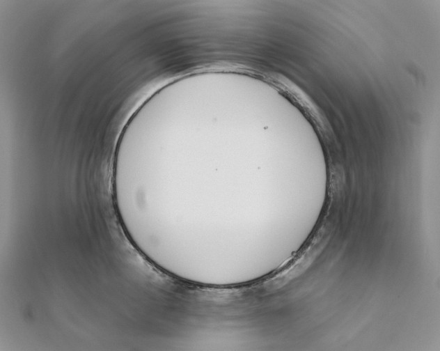 X0000111450860200908031412