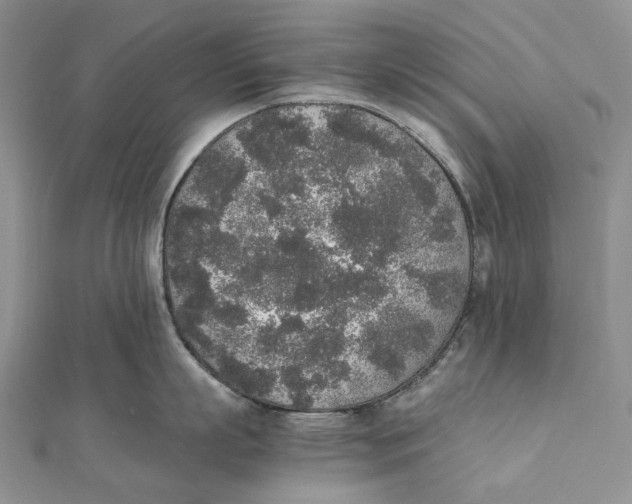 X0000111450863200908031412